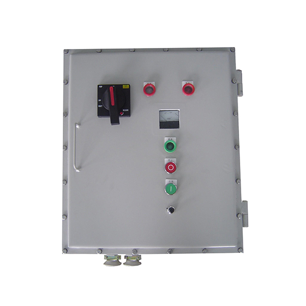 BXX51_6防爆動力檢修箱（ⅡB、ⅡC、戶內、戶外）