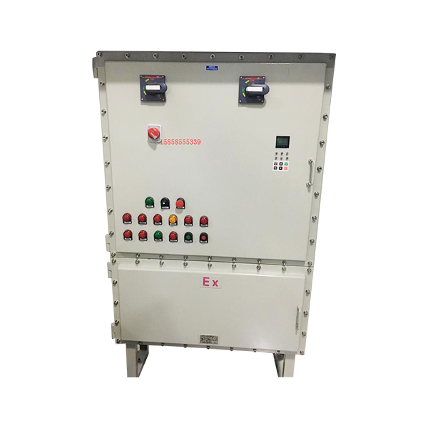 BXX51_2防爆動力檢修箱（ⅡB、ⅡC、戶內、戶外）