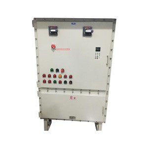 BXX51_2防爆動力檢修箱（ⅡB、ⅡC、戶內、戶外）