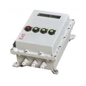 BXK粉塵防爆控制箱_2(IIB、IIC)