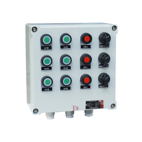 BXK粉塵防爆控制箱_3(IIB-IIC)