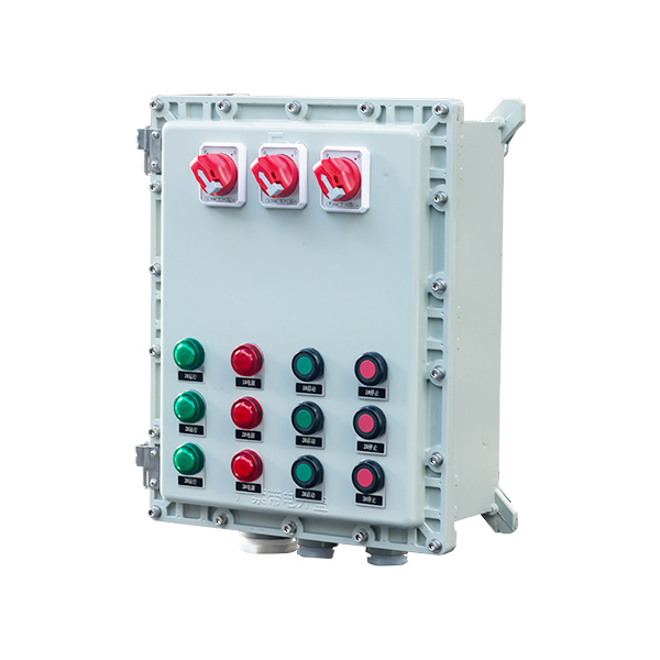 BXK粉塵防爆控制箱_6(IIB、IIC)