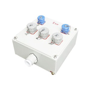 BXS_9粉塵防爆檢修電源插座箱（IIB、IIC）