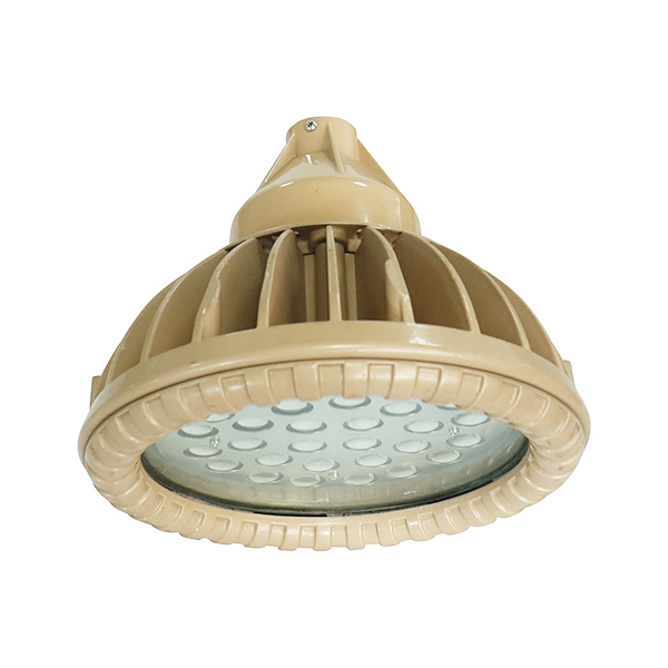 BLD91粉塵防爆免維護LED節能燈