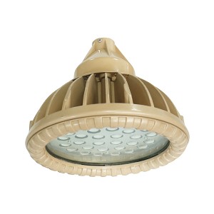 BLD91粉塵防爆免維護LED節能燈