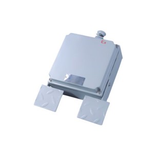 BJT防爆腳踏開關