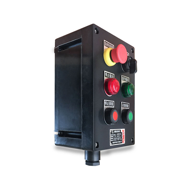 常州某某科技有限公司定制了防爆控制箱等產品