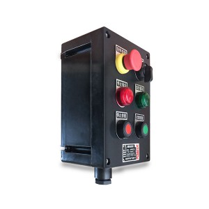 常州某某科技有限公司定制了防爆控制箱等產品