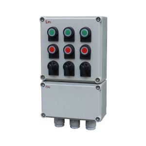 深圳市某某工程技術有限公司定制41臺LCZ防爆操作