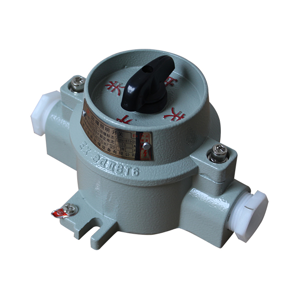 SWB-10防爆照明開關