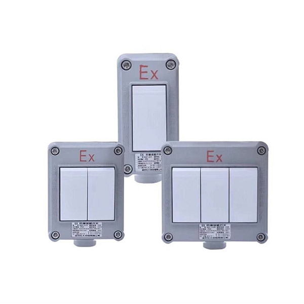 BZM-10防爆墻壁開關