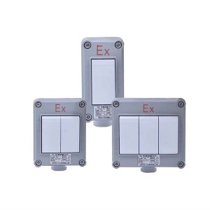 BZM-10防爆墻壁開關