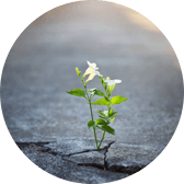 k8凱發_k8凱發國際·天生贏家一觸即發